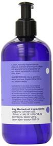 img 3 attached to EO Sulfate-Free Moisturizing Hand Soap - French 🧴 Lavender - 12 fl oz - Pack of 3