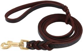 img 3 attached to Braided Leather Dog Leash - 6/8/10ft Length for Strong Medium to Large Dogs - Heavy Duty Training Leash (10ft)