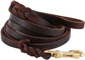 img 1 attached to Braided Leather Dog Leash - 6/8/10ft Length for Strong Medium to Large Dogs - Heavy Duty Training Leash (10ft)