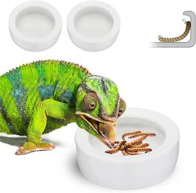 img 4 attached to 🦎 Nucookery Reptile Food Bowls: Premium Ceramic Pet Bowls with Anti-Escape Feeder and Worm Dish