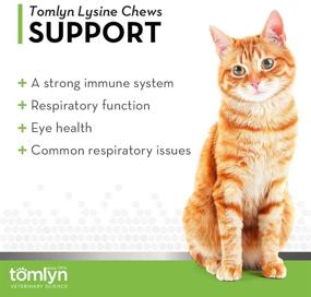 img 3 attached to Tomlyn Fish-Flavored L-Lysine Chews, Daily 🐟 Immune Support Supplement for Cats and Kittens, 30ct