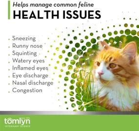 img 2 attached to Tomlyn Fish-Flavored L-Lysine Chews, Daily 🐟 Immune Support Supplement for Cats and Kittens, 30ct