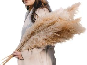 img 4 attached to Natural Dried Pampas Grass - Emir&amp;Odin 40&#34; Tall, Large and Fluffy with 10 Stems - No Shedding or Stench - Perfect for Home, Office, Wedding, and Events Decor - 40&#34; (100cm) Length