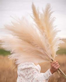 img 1 attached to Natural Dried Pampas Grass - Emir&amp;Odin 40&#34; Tall, Large and Fluffy with 10 Stems - No Shedding or Stench - Perfect for Home, Office, Wedding, and Events Decor - 40&#34; (100cm) Length