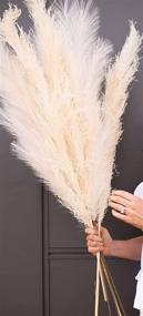 img 2 attached to Natural Dried Pampas Grass - Emir&amp;Odin 40&#34; Tall, Large and Fluffy with 10 Stems - No Shedding or Stench - Perfect for Home, Office, Wedding, and Events Decor - 40&#34; (100cm) Length