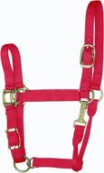 🐴 hamilton 1-inch nylon adjustable horse halter: securely equipped with snap logo