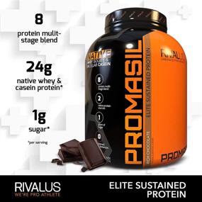 img 3 attached to 🍫 Rivalus Promasil Шоколад 5 фунтов - 80 унций наслаждения молочным шоколадным блаженством!