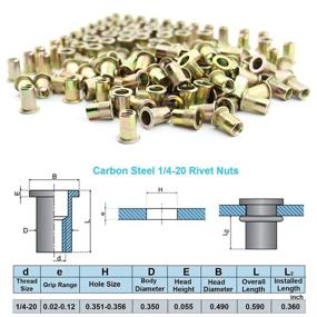 img 3 attached to 💪 Xtozon 100 Pcs 1/4"-20 UNC Rivet Nuts: Zinc Plated Carbon Steel Inserts for Secure Threads