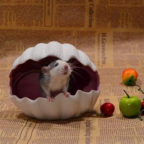 img 3 attached to 🐚 Laak Shell Shape Ceramic Small Animal Igloo House - Adorable Hideout, Nest, and Bath Cave Mini Hut Cage for Chinchilla, Hamster...