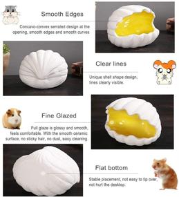img 2 attached to 🐚 Laak Shell Shape Ceramic Small Animal Igloo House - Adorable Hideout, Nest, and Bath Cave Mini Hut Cage for Chinchilla, Hamster...