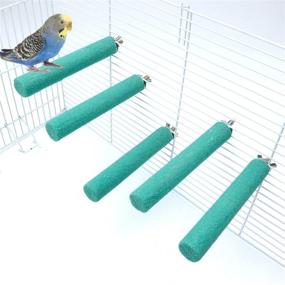 img 4 attached to Premium Sand Covered Perch Set for Birds by Alfie Pet - Fifer - 5-Piece Collection