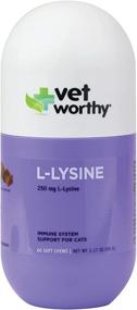 img 4 attached to 🐱 Lysine Soft Chews for Cats: Vet Recommended in a 60 Count Pack