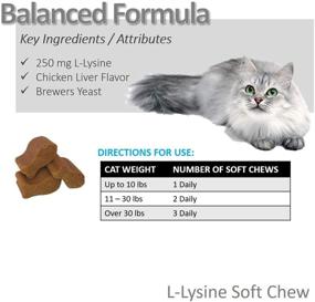 img 1 attached to 🐱 Lysine Soft Chews for Cats: Vet Recommended in a 60 Count Pack