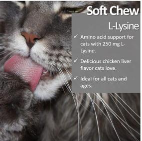 img 3 attached to 🐱 Lysine Soft Chews for Cats: Vet Recommended in a 60 Count Pack