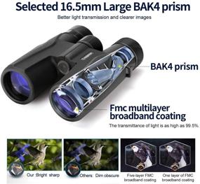 img 2 attached to 🔭 12x32 Compact Binoculars: Ideal for Bird Watching, Hunting & More - Lightweight, Waterproof, and Night Vision with Phone Adapter and Bag