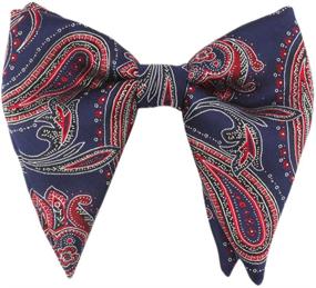 img 3 attached to Levao Vintage Jacquard Oversized Formal Men's Accessories in Ties, Cummerbunds & Pocket Squares