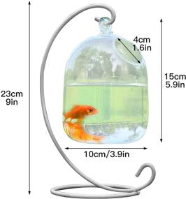 img 1 attached to 🐠 Flueyer Hanging Fish Tank with Stand - Small Glass Betta Fish Bowl for Home Office Decor - Mini Aquarium Clear Plant Terrarium - Table Top and Garden Decoration