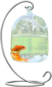 img 4 attached to 🐠 Flueyer Hanging Fish Tank with Stand - Small Glass Betta Fish Bowl for Home Office Decor - Mini Aquarium Clear Plant Terrarium - Table Top and Garden Decoration
