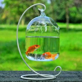 img 3 attached to 🐠 Flueyer Hanging Fish Tank with Stand - Small Glass Betta Fish Bowl for Home Office Decor - Mini Aquarium Clear Plant Terrarium - Table Top and Garden Decoration