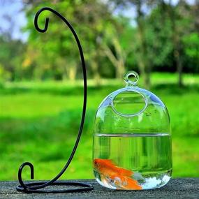 img 2 attached to 🐠 Flueyer Hanging Fish Tank with Stand - Small Glass Betta Fish Bowl for Home Office Decor - Mini Aquarium Clear Plant Terrarium - Table Top and Garden Decoration