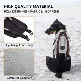 img 2 attached to 🐶 Phyxin Dog Life Jacket: High Buoyancy Vest for Swimming, Reflective Safety, Rescue Handle & Adjustable Fit - Small Medium Large Dogs