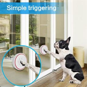 img 3 attached to ChunHee Dog Doorbell: Waterproof Dog Door Bells for Potty Training & Clear Communication