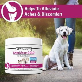 img 3 attached to 🐾 Vet Classics ArthriEase-Gold Hip & Joint Support: Effective Pet Health Supplement Powder for Dogs and Cats, Alleviates Aches and Discomfort, Promotes Flexibility and Healthy Joint Function with Antioxidants