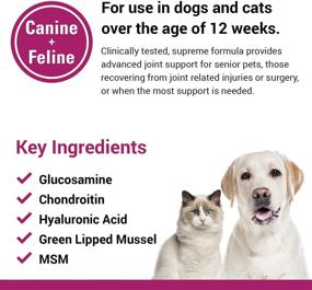 img 1 attached to 🐾 Vet Classics ArthriEase-Gold Hip & Joint Support: Effective Pet Health Supplement Powder for Dogs and Cats, Alleviates Aches and Discomfort, Promotes Flexibility and Healthy Joint Function with Antioxidants