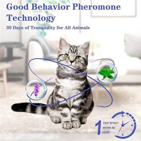 img 1 attached to 🐱 NOOBECR 3 Pack Cat Collar: Calming Collar for Cats and Kittens with Pheromone to Calm Anxiety, Relieve Stress, and Ensure Relaxation - Breakaway Design in Comfortable Grey Shade