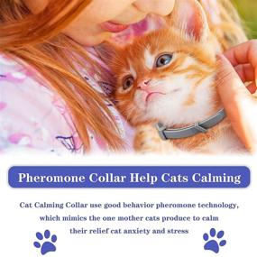 img 3 attached to 🐱 NOOBECR 3 Pack Cat Collar: Calming Collar for Cats and Kittens with Pheromone to Calm Anxiety, Relieve Stress, and Ensure Relaxation - Breakaway Design in Comfortable Grey Shade