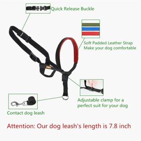 img 2 attached to 🐶 Leather-Decorated Dog Head Collar for Optimal Control and Comfort on Walks - Suitable for Small, Medium, and Large Dogs