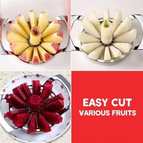 img 2 attached to 🍎 FEITA Stainless Steel Apple Slicer and Corer - Premium 12 Blades - Food Grade 304 - Heavy Duty Apple Cutter for Extra Large Apples up to 4 Inches