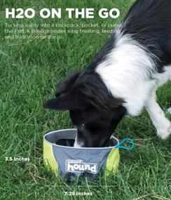 img 2 attached to 🍽️ Outward Hound Dog Travel Bowl and Treat Carrier