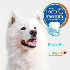 img 1 attached to Наборы для улучшения устной гигиены у собак и кошек Nylabone Dental Kits