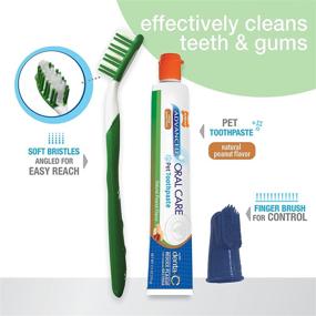 img 3 attached to Наборы для улучшения устной гигиены у собак и кошек Nylabone Dental Kits