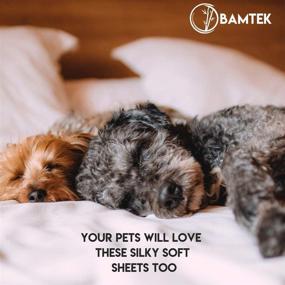 img 1 attached to 🌿 Bamtek 100% Bamboo Sheets - Ultra-Soft & Silky Smooth, Cooling Sheets for Hot Sleepers, 4-Piece Set with Elasticized Deep Pockets, Including 2 Organic Bamboo Pillowcases, Fitted & Flat Bed Sheet - (Sand, King)