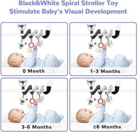 img 1 attached to 🦊 Euyecety Baby Toys Car Seat and Stroller Toys Set, Infant Developmental Toys: Black and White Spiral Plush Activity Toy, Hanging Rattle Toys for Crib Mobile, Best Newborn Gift for 0-12 Months Baby-Fox Design