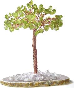 img 3 attached to 🌳 KALIFANO Natural Mini Peridot Chakra Crystal Tree with Brazilian Agate Base - Leo Zodiac Feng Shui Money Tree for Stress Relief, Inner Growth, and Abundance (100+ Gemstone Count!)