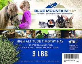 img 3 attached to Blue Mountain Timothy Hay (3 LB): Premium Natural Food for Guinea Pigs, Rabbits, and Other Small Pets - Ideal Hay for Bunny Rabbit, Hamster, Chinchilla, Gerbil, Similar to Alfalfa Pellets, Cubes, Orchard Grass