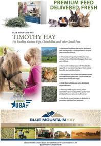 img 1 attached to Blue Mountain Timothy Hay (3 LB): Premium Natural Food for Guinea Pigs, Rabbits, and Other Small Pets - Ideal Hay for Bunny Rabbit, Hamster, Chinchilla, Gerbil, Similar to Alfalfa Pellets, Cubes, Orchard Grass