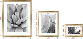 img 1 attached to 🖼️ ArtbyHannah Gold Gallery Wall Picture Frame Set with Decorative Botanical Art Prints - Multi Size: 11x14, 8x10, 5x7 Inch - Perfect Home Decor for Wall Art Collages and Photo Frame Collections