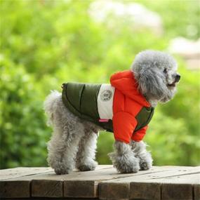 img 1 attached to ❄️ Winter Dog Hoodie Coat - Waterproof Down Jacket for Dogs - Windproof & Cold Weather Pet Clothes