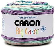 🎨 пряжа caron big cakes self striping 603 ярдов/10,5 унций (смородиновый): яркая пряжа цвета смородины для творческих проектов. логотип