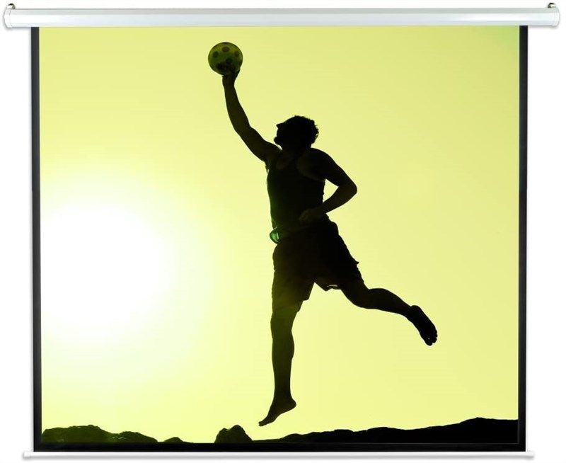pyle portable motorized projector screen television & video 로고