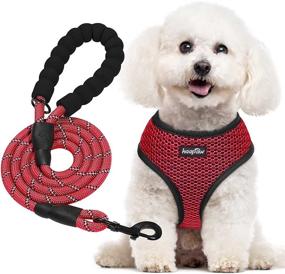 img 4 attached to HAAPAW Double-Layer Mesh No Pull Dog Harness - Soft, 🐾 Breathable, and Adjustable for Small and Medium Dogs of All Breeds