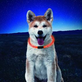 img 1 attached to LED Safety Necklace for Pets 🐾 - NiteHowl: Enhance Visibility with this Reusable Necklace