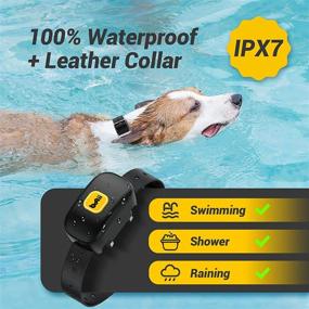 img 3 attached to 🐶 Advanced Dog Training Collar with Remote - Rechargeable, Waterproof, Beep, Vibration, Shock Modes- 1640 ft Range for Small to Large Dogs