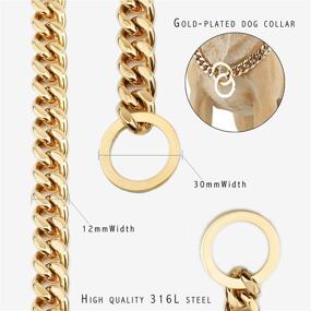 img 3 attached to 🐶 Rulahomeware Cuban Link Dog Collar, Gold Chain, 12/15mm Width, 12-26" Length, Ideal for Training and Walking (Limited Stock)