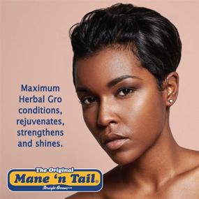 img 2 attached to Mane Tail Herbal NATURAL CONDITIONER