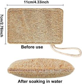 img 1 attached to 🧽 JEBBLAS 6 Pack Loofah Sponge Scrubbers - Compostable Cellulose Dish Scrubbers for Kitchen - Natural & Effective Cleaning Pads